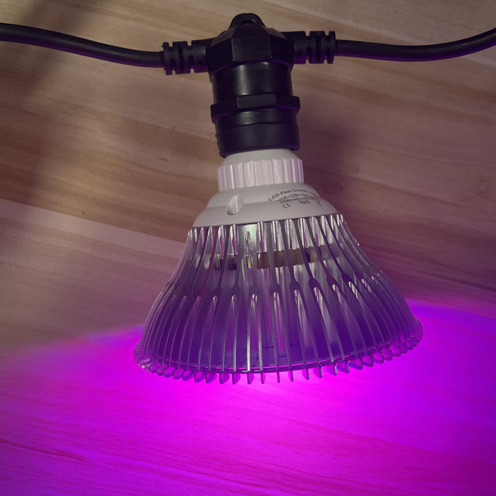 10 m langes LED-Kabel, wasserd – Outdoor Lighting Sconce Bewertung und Preis